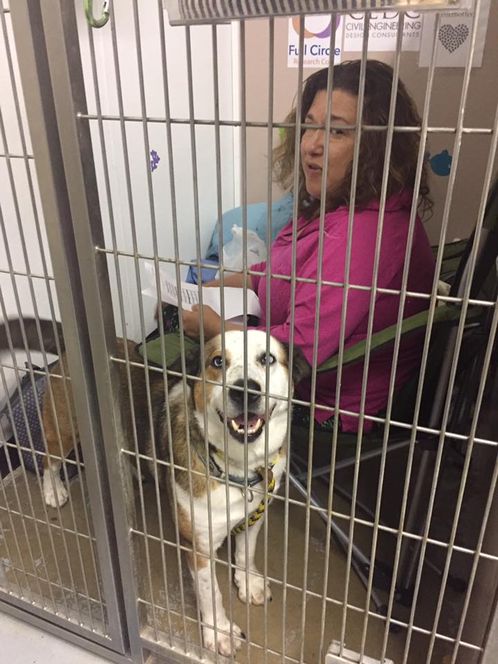 17990933_10154705667658717_8799133132061045401_n Gateway Pet Guardians